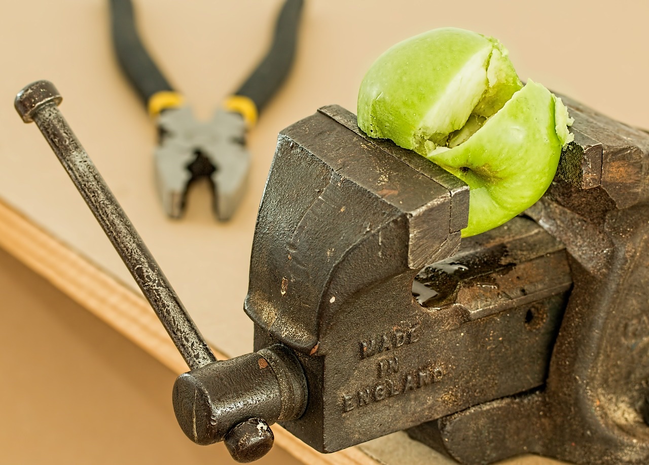 Wordpress Bilder Optimieren Mit Plugin Und Ohne Aufwand Webmaster Coder Blog